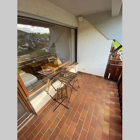 Haus Am Sonnenberg,todtnauberg, Ferienwohnung 205, Direkt Am Skilift-skipiste, Nahe Feldberg Todtnauberg