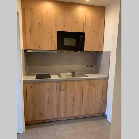 Haus Am Sonnenberg,todtnauberg, Ferienwohnung 205, Direkt Am Skilift-skipiste, Nahe Feldberg Lägenhet Todtnauberg