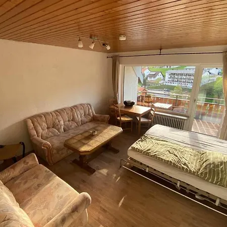Lägenhet Haus Am Sonnenberg,todtnauberg, Ferienwohnung 205, Direkt Am Skilift-skipiste, Nahe Feldberg